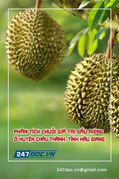 Phân tích chuỗi giá trị Sầu Riêng ở huyện Châu Thành, tỉnh Hậu Giang