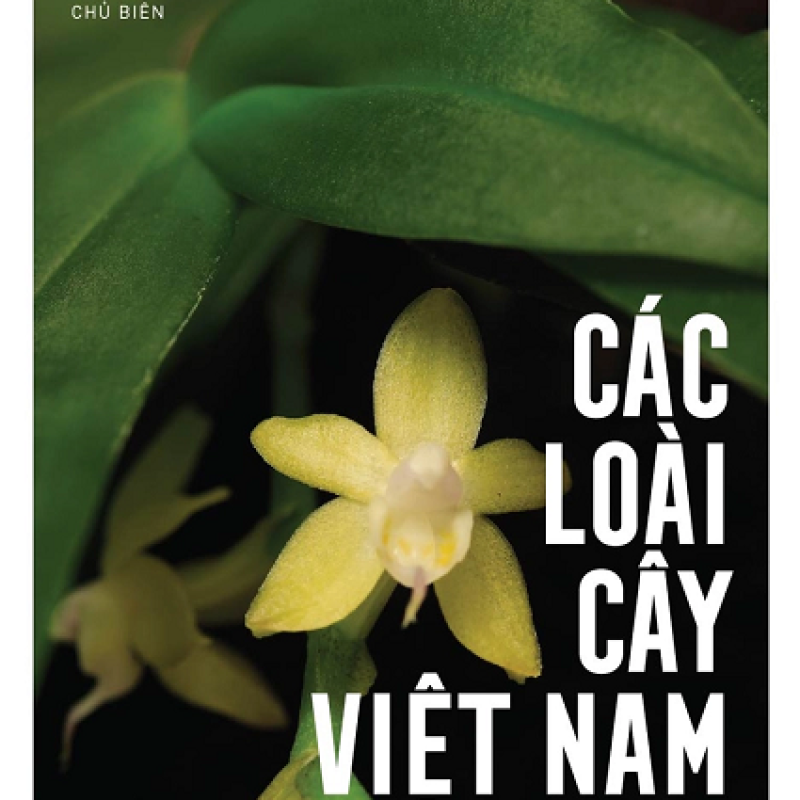 Các loài cây Việt Nam