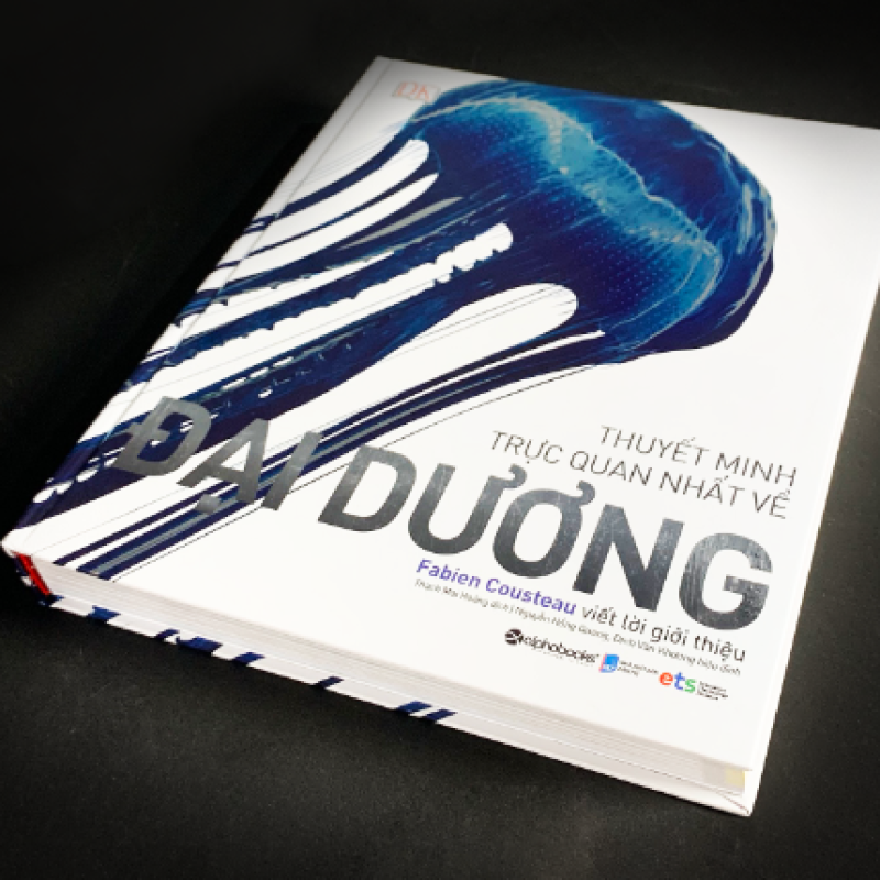 Thuyết Minh Trực Quan Nhất Về Đại Dương