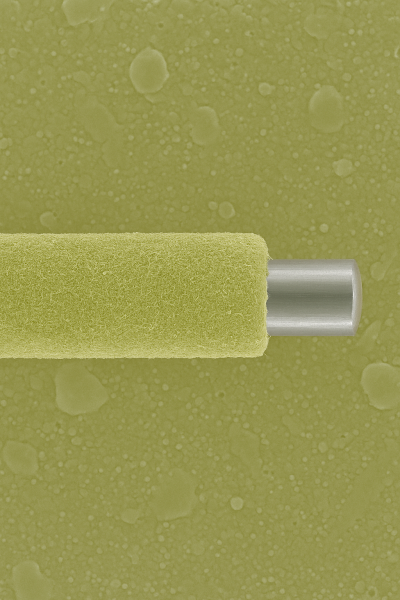 Lớp phủ hydrogel nền PVA/gelatin trên hợp kim nickel-titanium nhằm cải thiện tương tác mô-cấy ghép